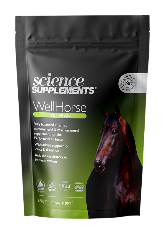 cmi wellhorse leisure science supplement