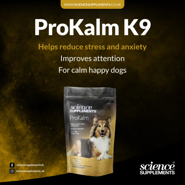 Prokalm K9- Calme et sérénité – Image 2