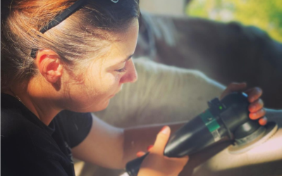 L’Automne chez les Chevaux : Quand les Problèmes de Santé se Réveillent