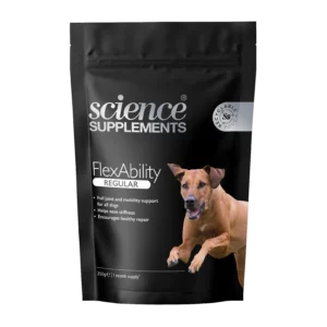 FlexAbility Regular – Complément articulaire pour chiens