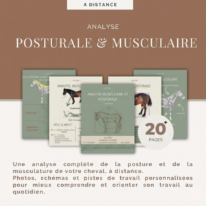 Analyse Posturale & Musculaire à distance